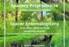 Spacer arachnologiczny w parku rzecznym Drwinka